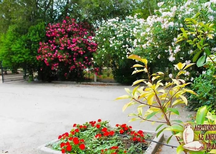 Le Anfore di Arpi Foggia